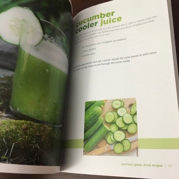 Best Drinks Green Ever Book Recipe - Picture 5 of 8